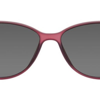 Orchard Sunglasses