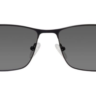 Stanford Sunglasses