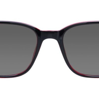 Iris Sunglasses