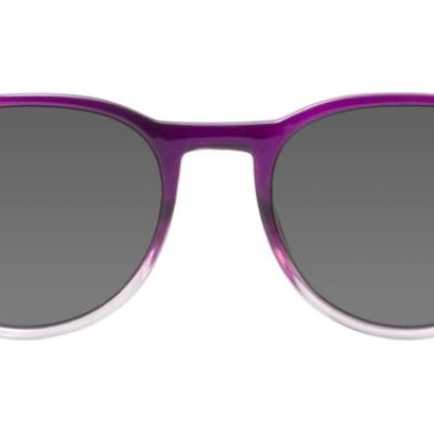 Davenport Sunglasses