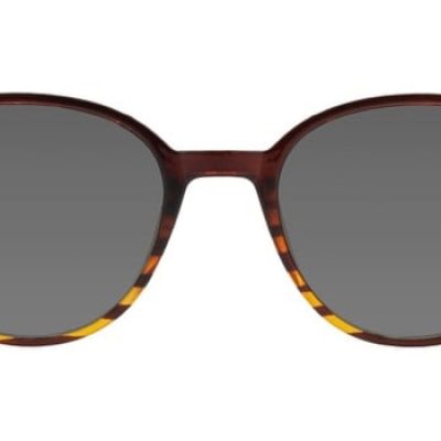 Remi Sunglasses