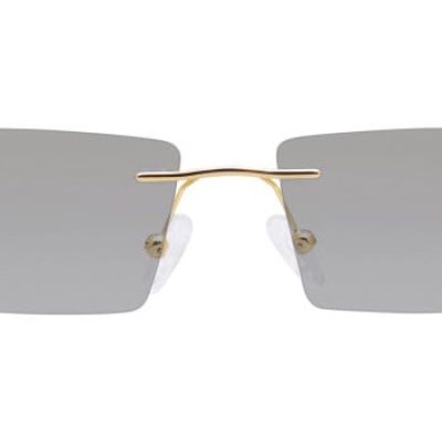 Rimless Rectangle 2 Sunglasses